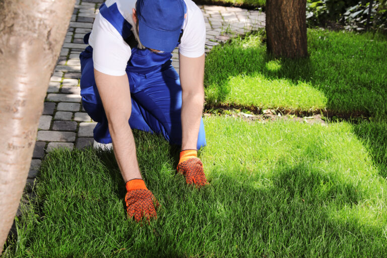 Prevent Sprinkler Breakdown