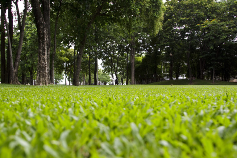 Spring Sprinkler Startup Guide for a Healthy Lawn